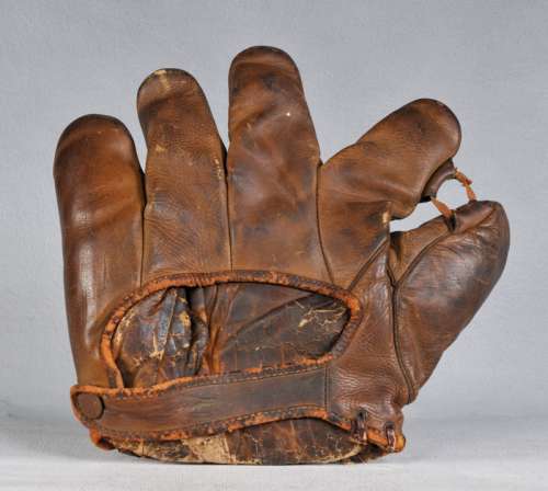 Goose Goslin Back